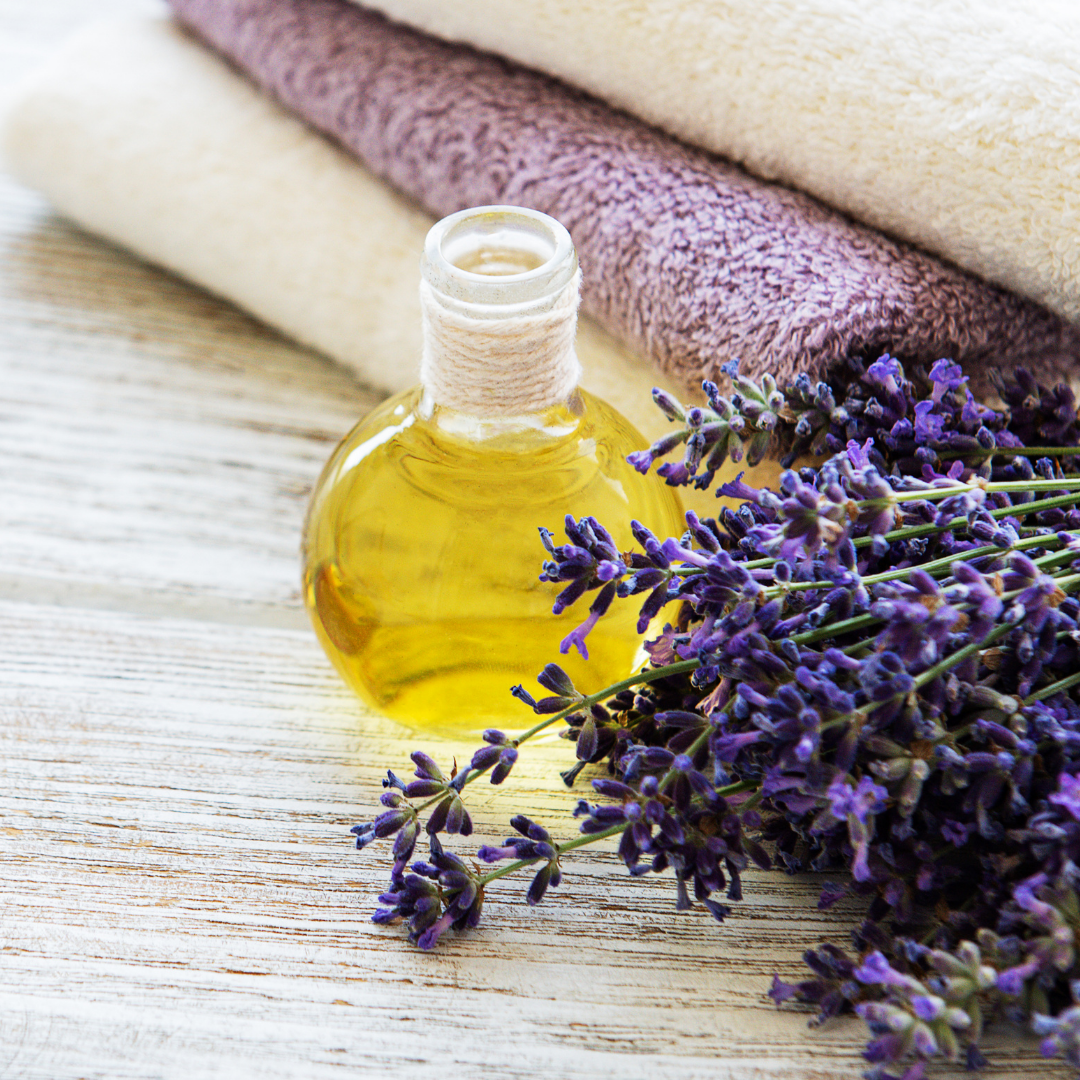 How To Dry Lavender In Different Ways