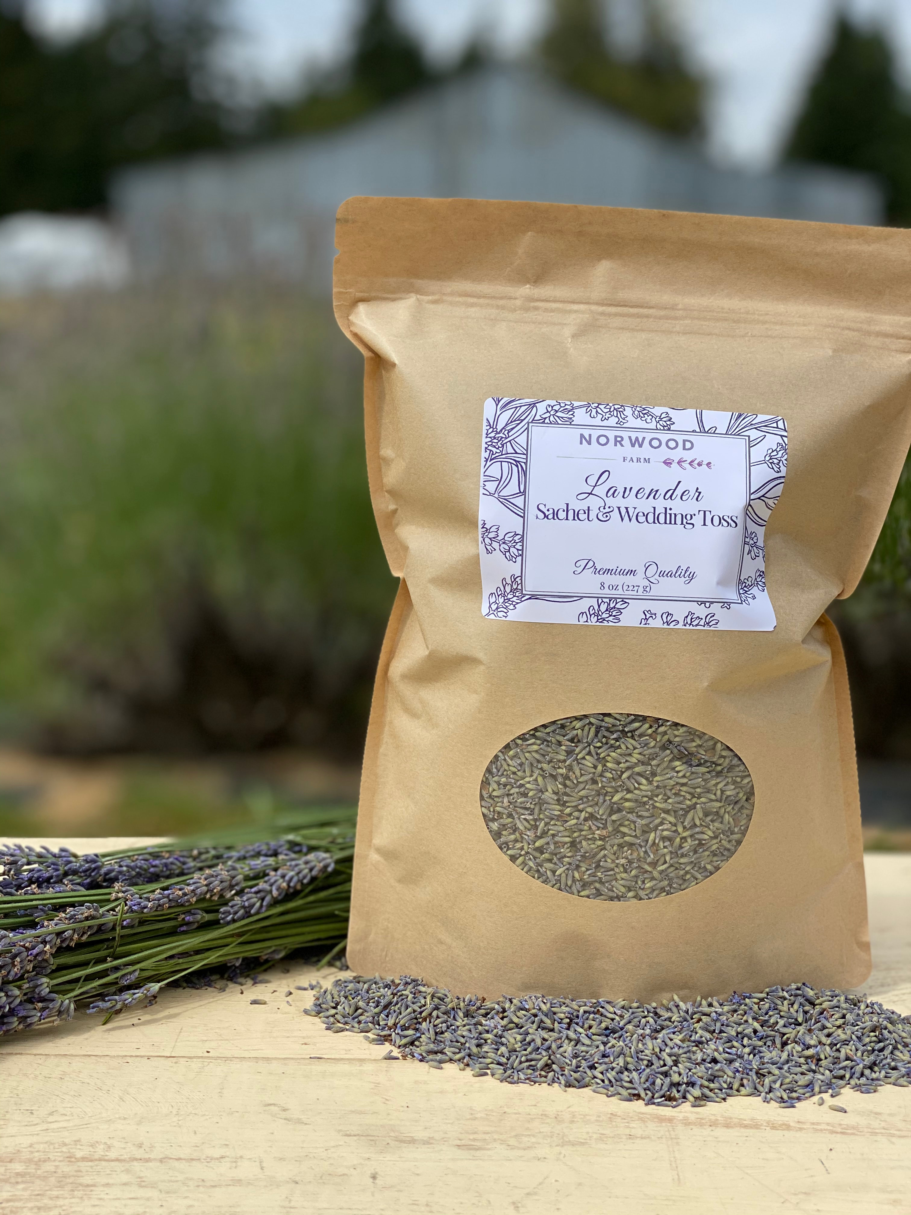 Grown USA! 1 Pound Fresh Sequim GROSSO Lavender Fresh Dried Buds Strong Aroma 