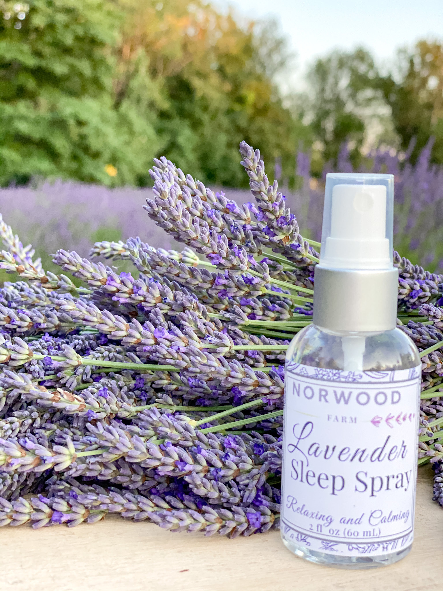 Lavender Sleep Spray {Relaxing Slumber Spray Recipe}