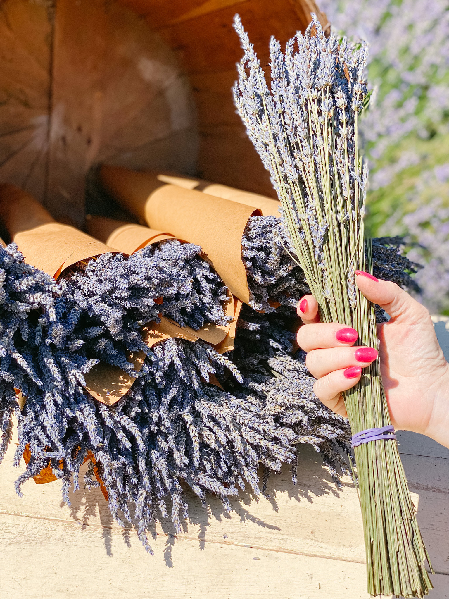 Dried French Lavender Bunch, Dried Grosso Lavendar bunches & stems